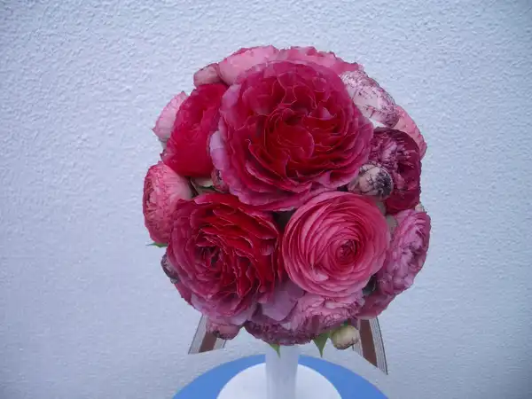 ウェディング フォト