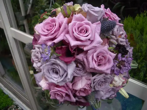 ウェディング フォト