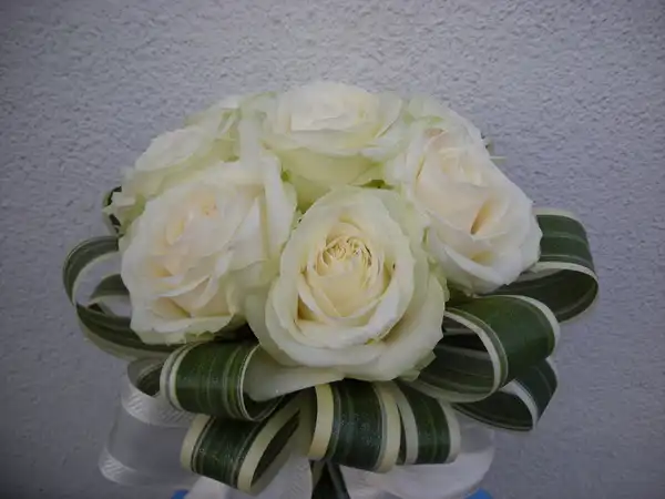 ウェディング フォト